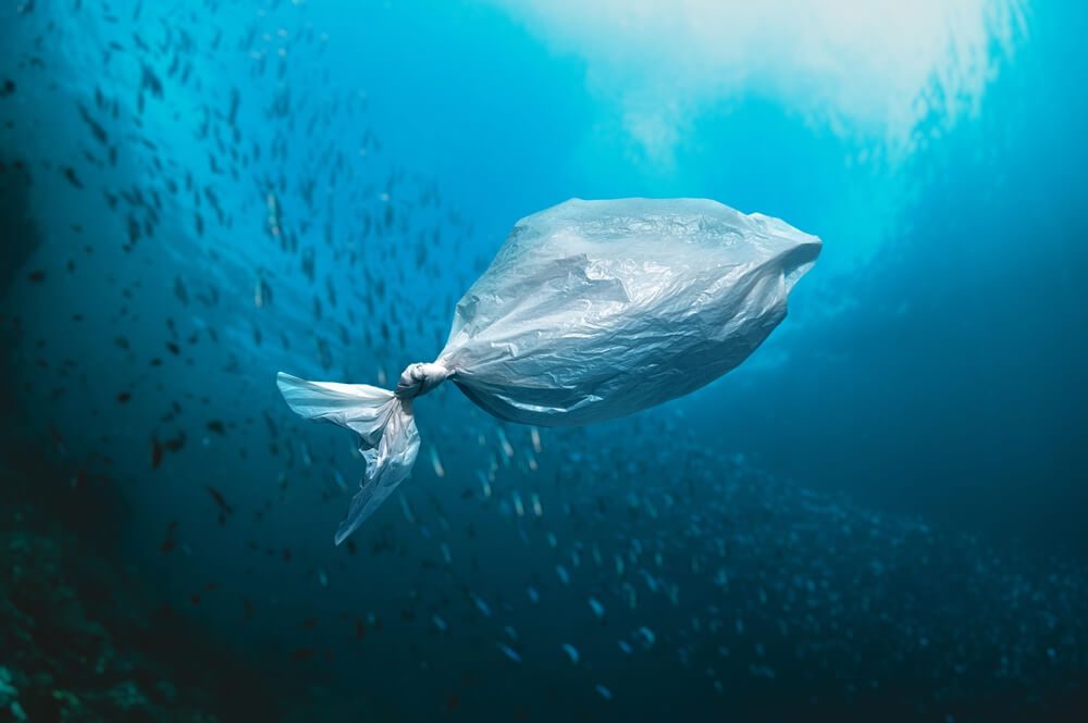 A plastic bag floats in the ocean, resembling a fish surrounded by a school of fish