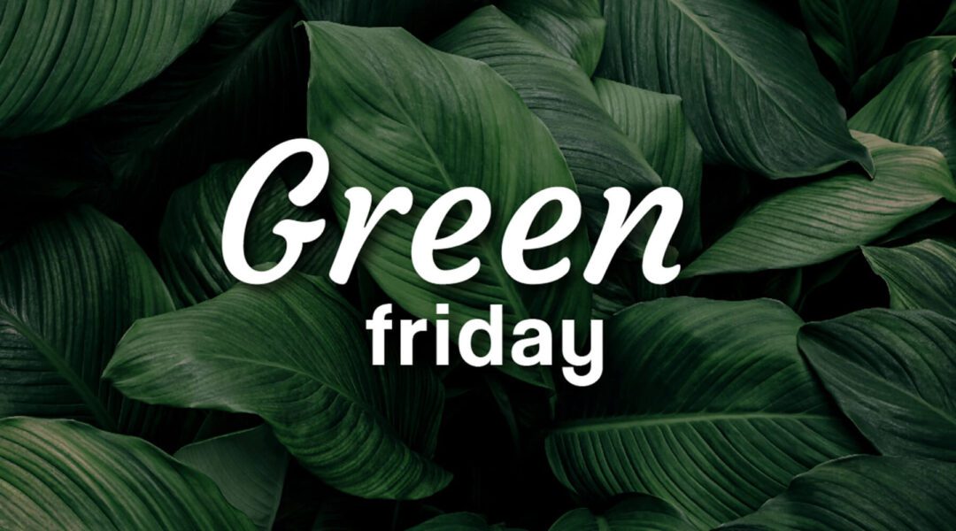 Header blog image for GOWOOD's latest post about turning the Black Friday into a Green Friday, 2024